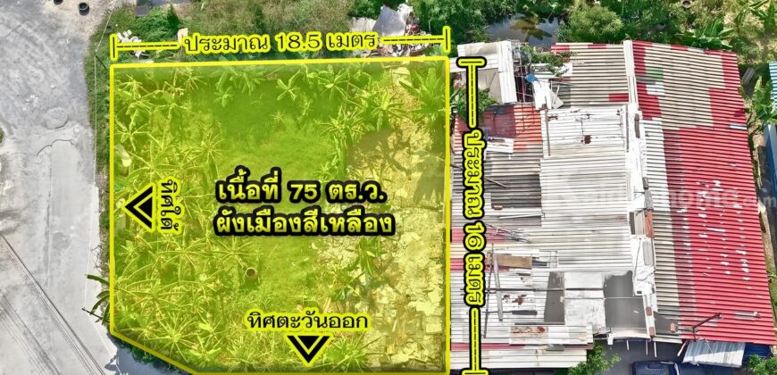 ขายที่ดินอ่อนนุช 39 (ศรีนครินทร์ 24) แปลงมุม 75 ตร.ว. ราคาถูก