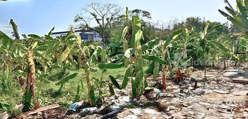 ขายที่ดินอ่อนนุช 39 (ศรีนครินทร์ 24) แปลงมุม 75 ตร.ว. ราคาถูก