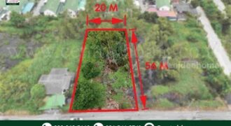 ที่ดินเปล่า 285 ตร.วา ซอยบงกช 55 คลอง 2 ปทุมธานี