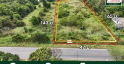 ที่ดินเปล่า 4 ไร่ ติดถนนใหญ่ นย.2003 ป่าขะ นครนายก