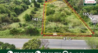 ที่ดินเปล่า 4 ไร่ ติดถนนใหญ่ นย.2003 ป่าขะ นครนายก