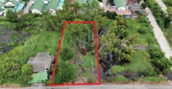 ที่ดินเปล่า 285 ตร.วา ซอยบงกช 55 คลอง 2 ปทุมธานี