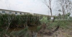 ที่ดินเปล่า 165 ตร.วา คลอง 2 – คลองหลวง ราคาถูก