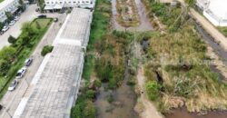 ที่ดินเปล่า 165 ตร.วา คลอง 2 – คลองหลวง ราคาถูก