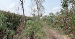 ที่ดินเปล่า 165 ตร.วา คลอง 2 – คลองหลวง ราคาถูก