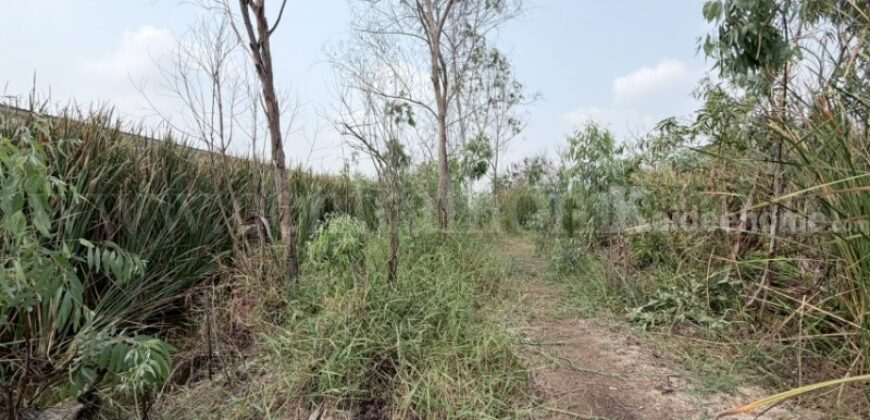 ที่ดินเปล่า 165 ตร.วา คลอง 2 – คลองหลวง ราคาถูก