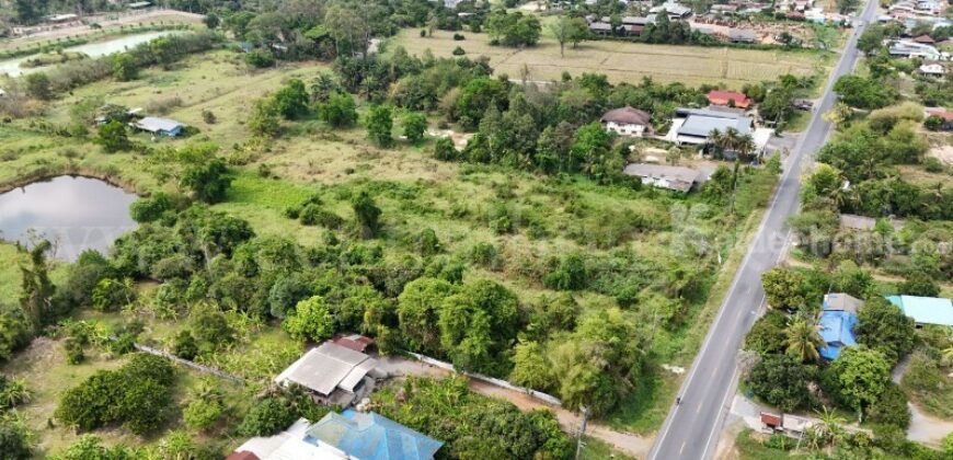 ที่ดินเปล่า 4 ไร่ ติดถนนใหญ่ นย.2003 ป่าขะ นครนายก