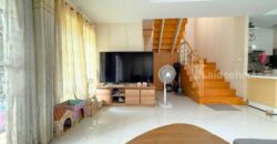 ขาย!! บ้านแฝดสไตล์บ้านเดี่ยว 2 ชั้น หมู่บ้านพฤกษาทาวน์ เซเรนิตี้ เพชรเกษม81 (ขนาด 47 ตร.ว.) ถนนมาเจริญ แขวงหนองแขม เขตหนองแขม กรุงเทพมหานคร : Pruksa Town Serenity Petchkasem 81