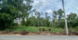 ที่ดินเปล่า 285 ตร.วา ซอยบงกช 55 คลอง 2 ปทุมธานี