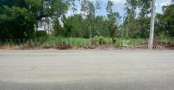 ที่ดินเปล่า 285 ตร.วา ซอยบงกช 55 คลอง 2 ปทุมธานี