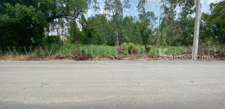 ที่ดินเปล่า 285 ตร.วา ซอยบงกช 55 คลอง 2 ปทุมธานี