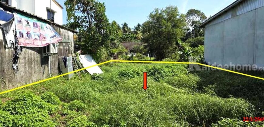 ที่ดินนราธิวาส ใจกลางเมือง เนื้อที่ 53 ตารางวาราคาคุญกันได้