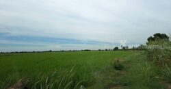 ขายที่ดินราคาพิเศษ อยุธยา บางปะอิน 68-2-9 ไร่ ด้านหน้าติดถนนใหญ่ 347 โทร 084-1416555