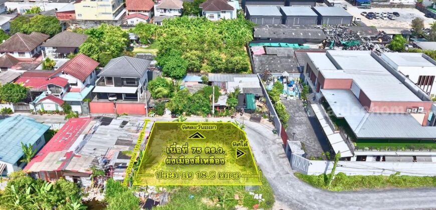 ขายที่ดินอ่อนนุช 39 หมู่บ้านบัวงาม 75 ตร.ว. แปลงมุม