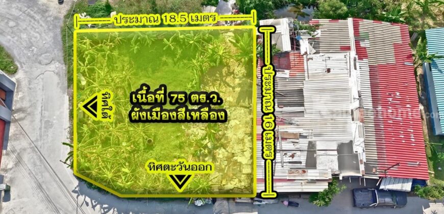 ขายที่ดินอ่อนนุช 39 หมู่บ้านบัวงาม 75 ตร.ว. แปลงมุม