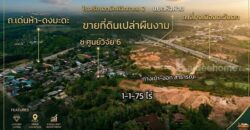 ขายที่ดินเนินเขา 1 ไร่กว่า ใกล้สิงห์ปาร์ค-วัดร่องขุ่น ทำเลแยกหัวฝาย เชียงราย น้ำไม่ท่วม! โทร 081-0321111