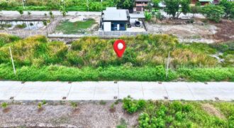 ขายที่ดินคลองหลวง คลองหนึ่ง 100 ตารางวา