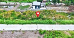 ขายที่ดินคลองหลวง 100 ตารางวา คลองหนึ่ง ปทุมธานี