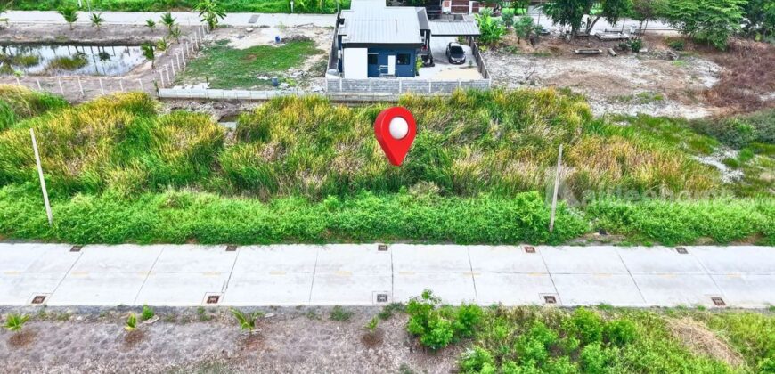 ขายที่ดินคลองหลวง 100 ตารางวา คลองหนึ่ง ปทุมธานี