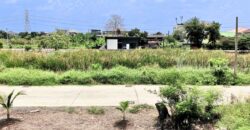 ขายที่ดินคลองหลวง 100 ตารางวา คลองหนึ่ง ปทุมธานี