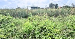 ขายที่ดินคลองหลวง คลองหนึ่ง 100 ตารางวา