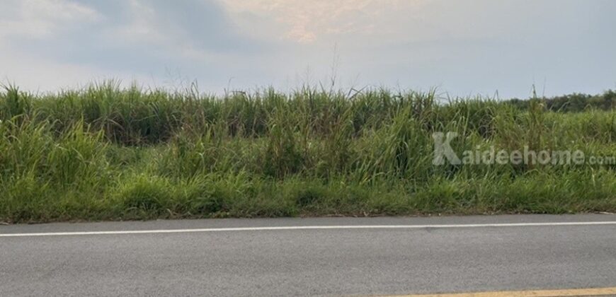 ขายที่ดิน เนื้อที่ 29 ไร่ เกาะจันทร์ จังหวัดชลบุรี