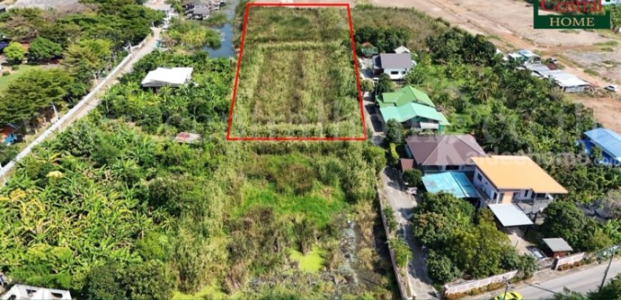 ที่ดินเปล่า 4-1-61 ไร่ ท่าอิฐ 15 แยกตาลเดียว – วัดบางบัวทอง นนทบุรี