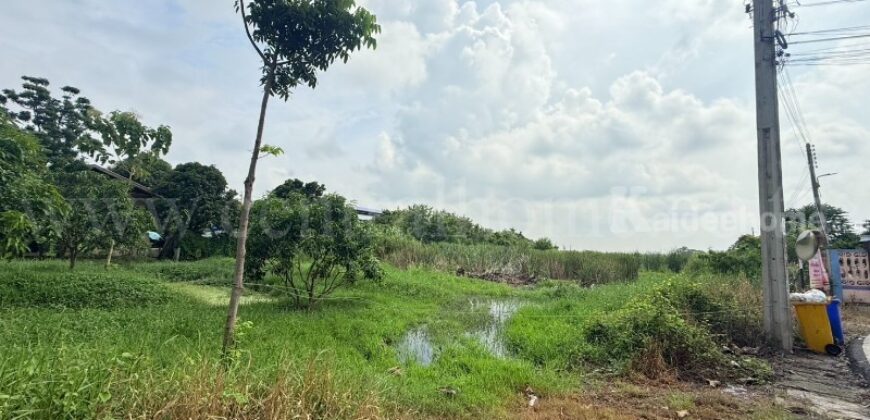 ที่ดินเปล่า 4-1-61 ไร่ ท่าอิฐ 15 แยกตาลเดียว – วัดบางบัวทอง นนทบุรี