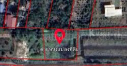 ที่ดินเปล่า 266 ตร.วา ท่าอิฐ 15 แยกตาลเดียว – วัดบางบัวทอง นนทบุรี