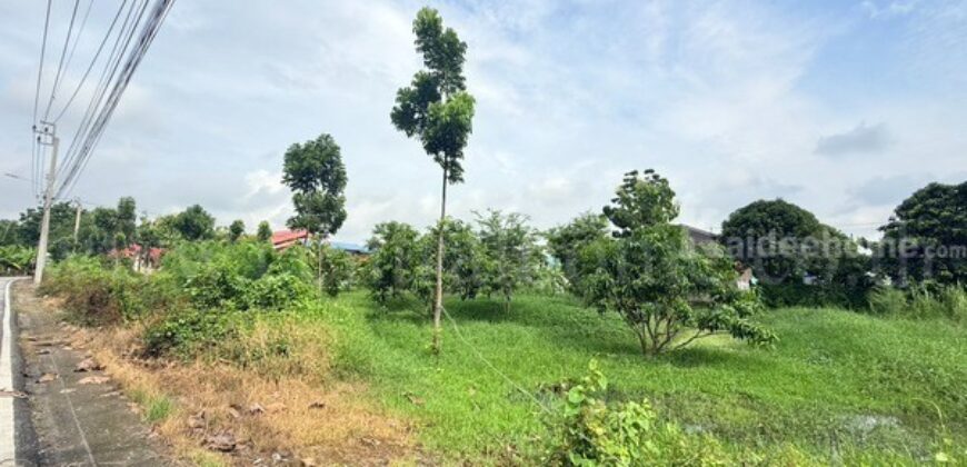 ที่ดินเปล่า 266 ตร.วา ท่าอิฐ 15 แยกตาลเดียว – วัดบางบัวทอง นนทบุรี