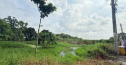 ที่ดินเปล่า 266 ตร.วา ท่าอิฐ 15 แยกตาลเดียว – วัดบางบัวทอง นนทบุรี