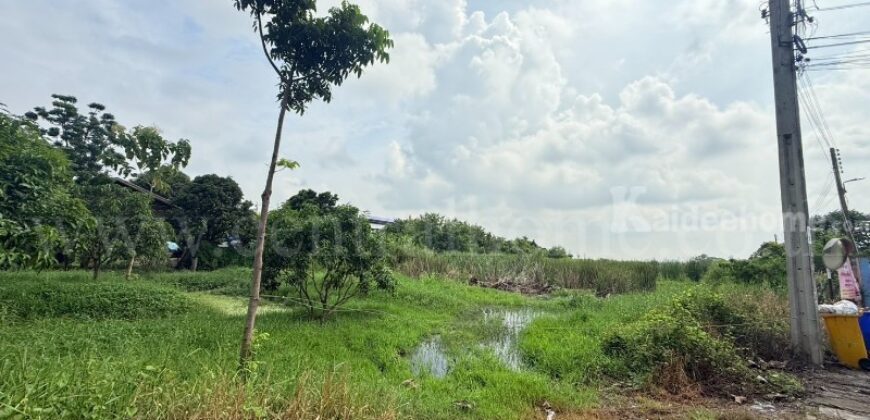 ที่ดินเปล่า 266 ตร.วา ท่าอิฐ 15 แยกตาลเดียว – วัดบางบัวทอง นนทบุรี