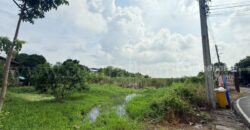 ที่ดินเปล่า 266 ตร.วา ท่าอิฐ 15 แยกตาลเดียว – วัดบางบัวทอง นนทบุรี