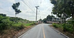 ที่ดินเปล่า 266 ตร.วา ท่าอิฐ 15 แยกตาลเดียว – วัดบางบัวทอง นนทบุรี