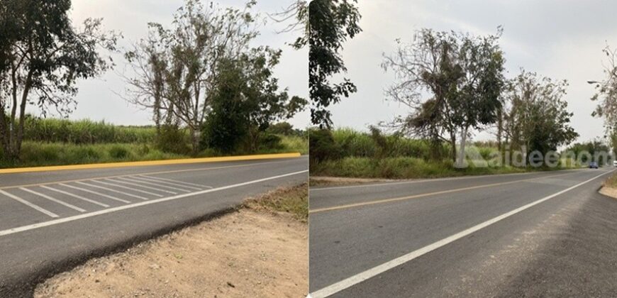 ขายที่ดิน เนื้อที่ 29 ไร่ เกาะจันทร์ จังหวัดชลบุรี