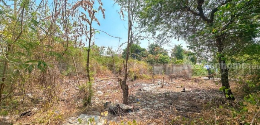 ที่ดินเปล่า ติดทางด่วน 102 ตารางวา – แจ้งวัฒนะ 38 ราคาถูกมาก