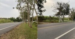 ขายที่ดิน เนื้อที่ 29 ไร่ เกาะจันทร์ จังหวัดชลบุรี