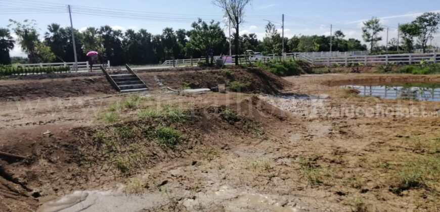 ที่ดิน 407.3 ตร.วา โครงการ คันนาวิลล์ เฟส 2 (รังสิต-นครนายก)