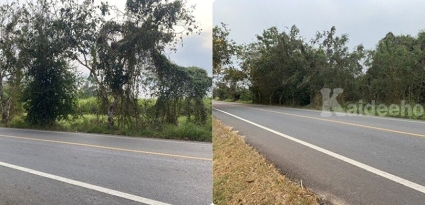 ขายที่ดิน เนื้อที่ 29 ไร่ เกาะจันทร์ จังหวัดชลบุรี