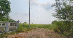 ที่ดินเปล่า 1 ไร่ ลาดหลุมแก้ว ปทุมธานี ใกล้โรงพยาบาล ราคาถูก