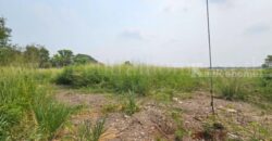 ที่ดินเปล่า 1 ไร่ ลาดหลุมแก้ว ปทุมธานี ใกล้โรงพยาบาล ราคาถูก