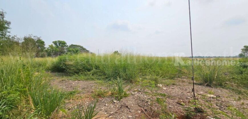 ที่ดินเปล่า 1 ไร่ ลาดหลุมแก้ว ปทุมธานี ใกล้โรงพยาบาล ราคาถูก