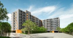 ขายคอนโดใหม่ dcondo sense Bangsaen พร้อมเข้าอยู่ ใกล้ ม.บูรพา ราคาดีสุดในย่าน โทร 093-1681685