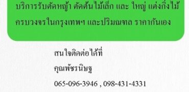 บริการรับตัดหญ้า ตัดต้นไม้เล็ก และ ใหญ่ แต่งกิ่งไม้ ครบวงจรในกรุงเทพฯ และปริมณฑล ราคากันเอง