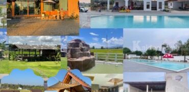 ขายกิจการร้านกาแฟ สระว่ายน้ำ วิลล่า 4 หลัง อ.แม่ริม จ.เชียงใหม่ พร้อมบริหารกิจการต่อได้เลย โทร 088-9162454