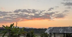 ขายกิจการร้านกาแฟ สระว่ายน้ำ วิลล่า 4 หลัง อ.แม่ริม จ.เชียงใหม่ พร้อมบริหารกิจการต่อได้เลย โทร 088-9162454