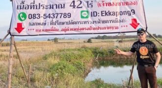 ด่วน!! ขายที่ดินแม่สอด-ห้วยกระโหลก 42 ไร่ ที่มีโฉนด นส.4 ครุฑแดง แปลงเดียวในย่านนี้ โทร 083-5437789