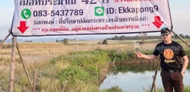 ด่วน!! ขายที่ดินแม่สอด-ห้วยกระโหลก 42 ไร่ ที่มีโฉนด นส.4 ครุฑแดง แปลงเดียวในย่านนี้ โทร 083-5437789