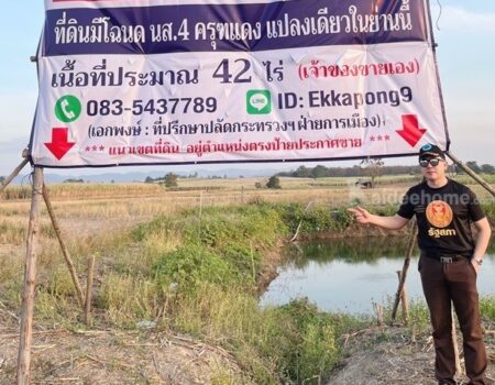 ด่วน!! ขายที่ดินแม่สอด-ห้วยกระโหลก 42 ไร่ ที่มีโฉนด นส.4 ครุฑแดง แปลงเดียวในย่านนี้ โทร 083-5437789