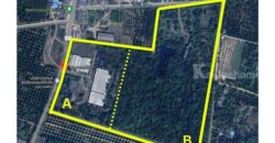 ขายโรงงาน และ สวนป่าเบญพรรณ อายุ 25 ปี อ.เขาชะเมา จ.ระยอง ราคาพิเศษ โทร 095-2601140